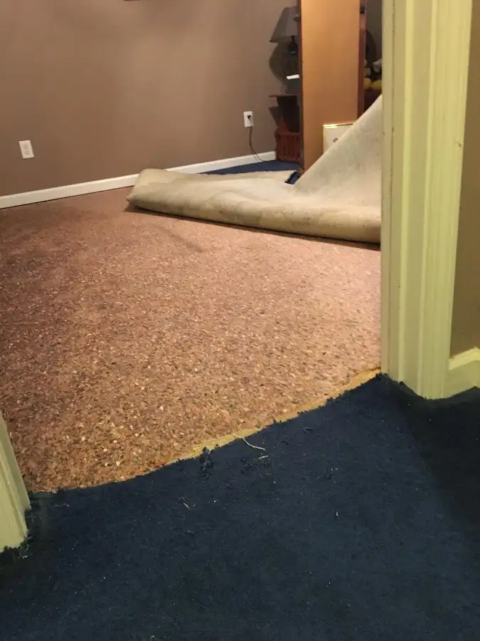 Carpet pad removal revealing water damage during Water Mitigation Services in Park Ridge