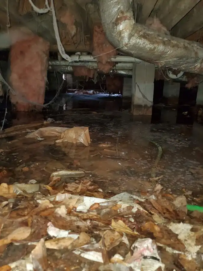 Crawl space flood assessment for Commercial Water Damage Restoration in Park Ridge